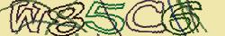 Retype the CAPTCHA code from the image