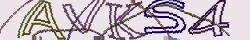 Retype the CAPTCHA code from the image