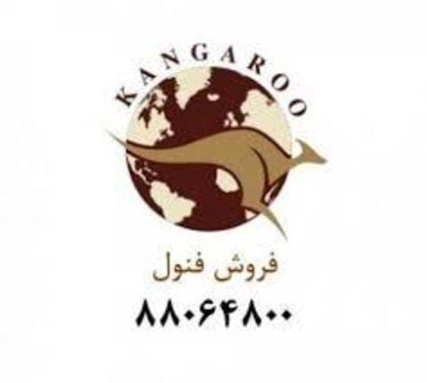 فنول