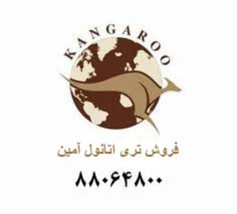 تری اتانول آمین
