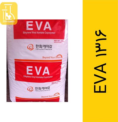 EVA 1316
