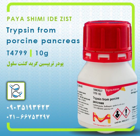 تریپسین