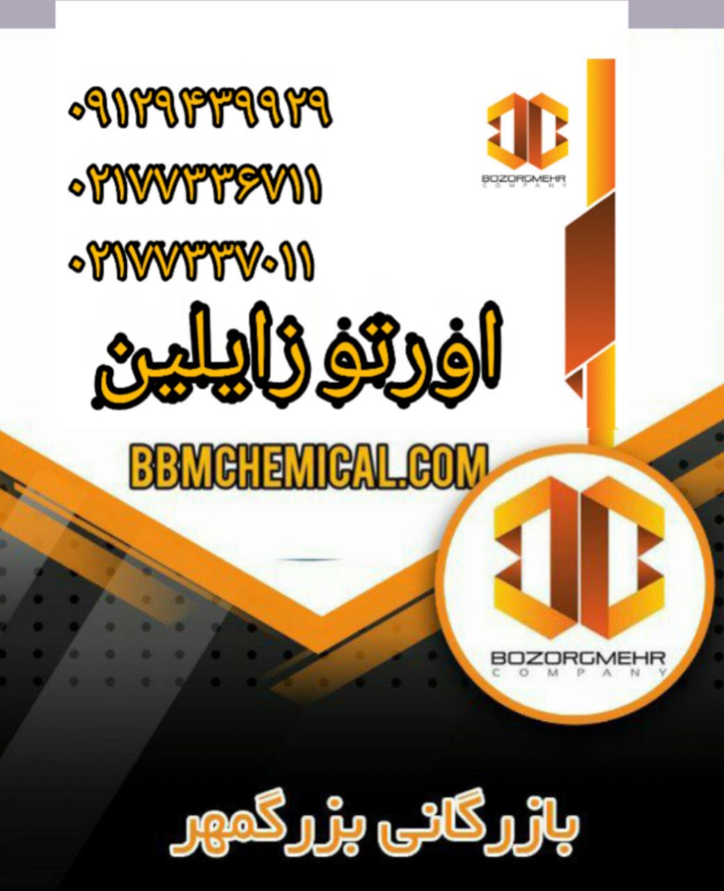 اورتو زایلین