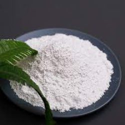 آلانتوئین