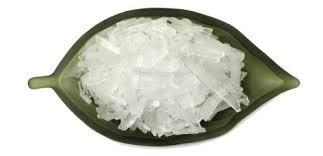 منتول