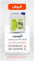 اگروسیب