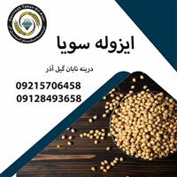 ایزوله سویا