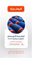 تگزاپون صدفی