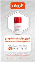 فروش لیزوزیم از سفیده تخم مرغ