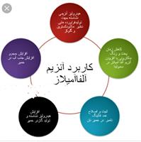 فروش ویژه آنزیم آمیلاز ، پکتیناز
