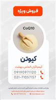 کیوتن (Q10) 