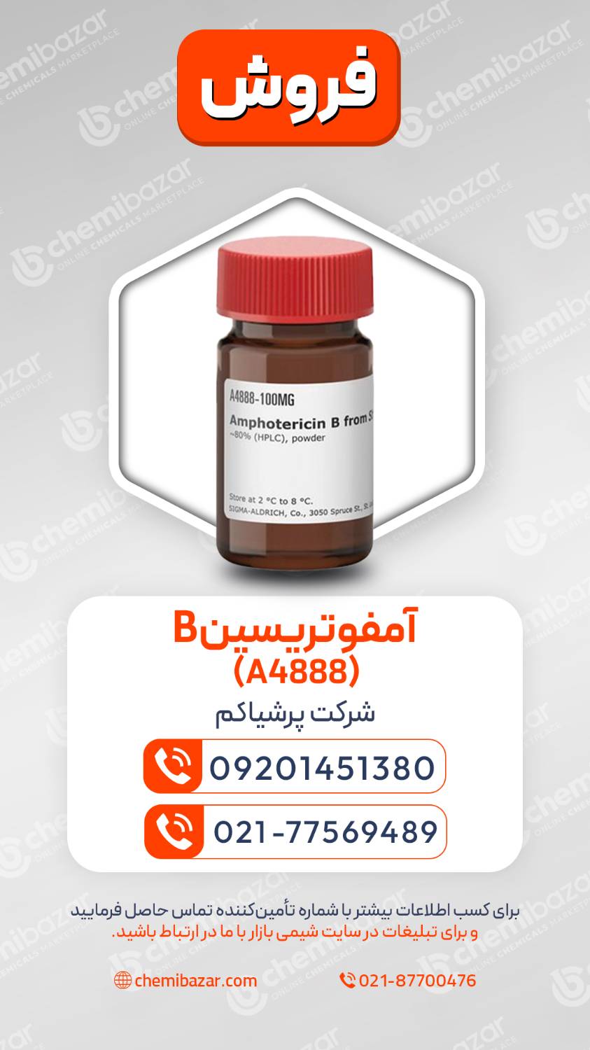  آمفوتریسین B