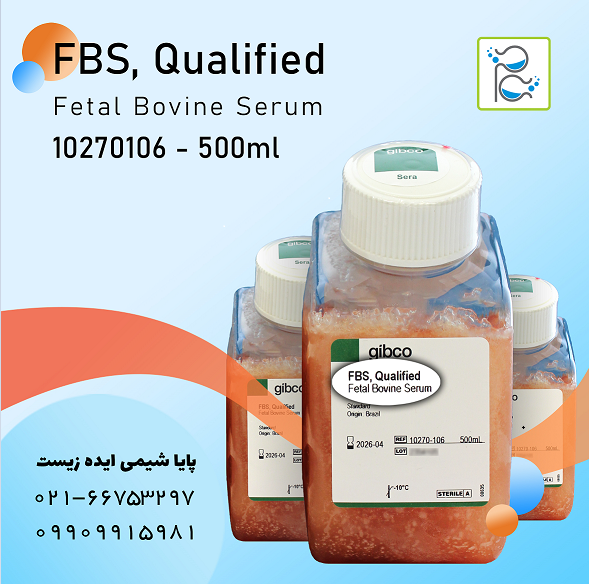فروش سرم جنین گاوی