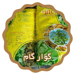 فروش فوری گوارگام هندی