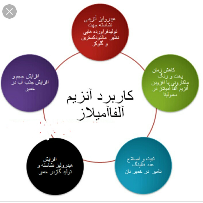 فروش ویژه آنزیم آمیلاز ، پکتیناز