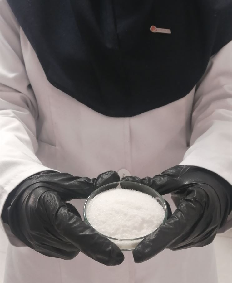 پلی الکترولیت آنیونی