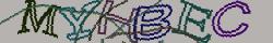 Retype the CAPTCHA code from the image