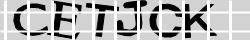 Retype the CAPTCHA code from the image