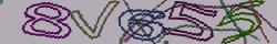 Retype the CAPTCHA code from the image