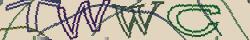 Retype the CAPTCHA code from the image