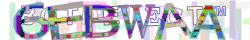 Retype the CAPTCHA code from the image