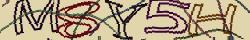 Retype the CAPTCHA code from the image