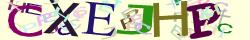 Retype the CAPTCHA code from the image