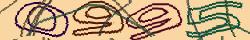 Retype the CAPTCHA code from the image