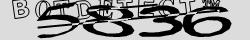 Retype the CAPTCHA code from the image