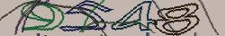 Retype the CAPTCHA code from the image