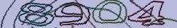 Retype the CAPTCHA code from the image