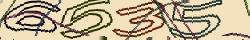 Retype the CAPTCHA code from the image