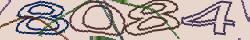 Retype the CAPTCHA code from the image