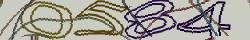 Retype the CAPTCHA code from the image