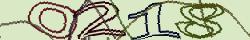 Retype the CAPTCHA code from the image