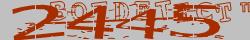 Retype the CAPTCHA code from the image