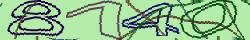 Retype the CAPTCHA code from the image