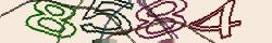 Retype the CAPTCHA code from the image
