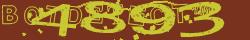 Retype the CAPTCHA code from the image