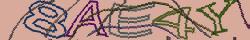 Retype the CAPTCHA code from the image
