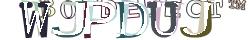 Retype the CAPTCHA code from the image