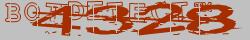 Retype the CAPTCHA code from the image