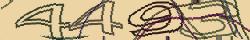 Retype the CAPTCHA code from the image